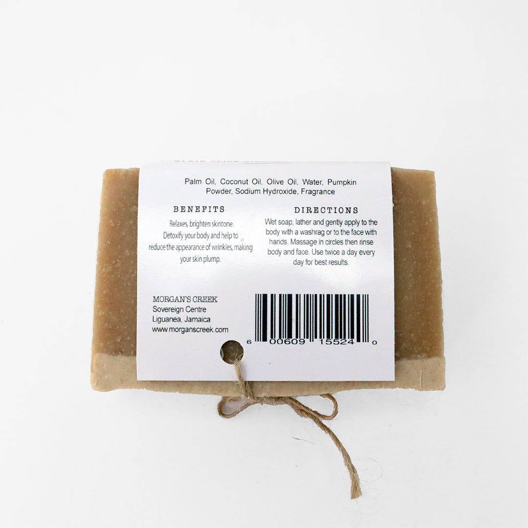 Pumpkin Spice Gingerbread  Soap by Morgan's Creek